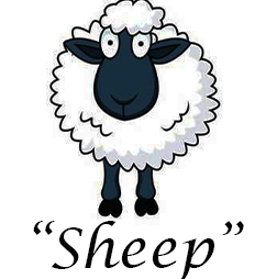 sheep logo